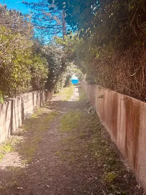 Jardin de l'établissement Villa Poggiole