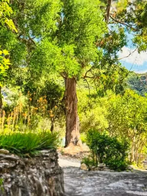 Paysage naturel près de l'appartement
