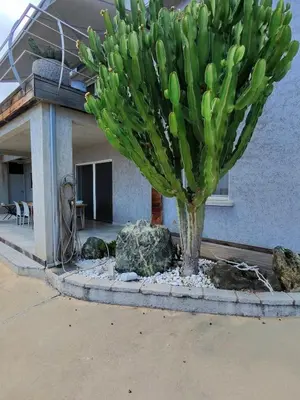 Bâtiment de l'appartement
