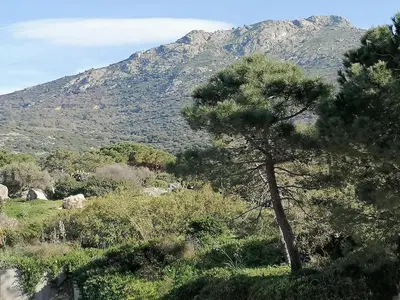 Paysage naturel près de l'appartement