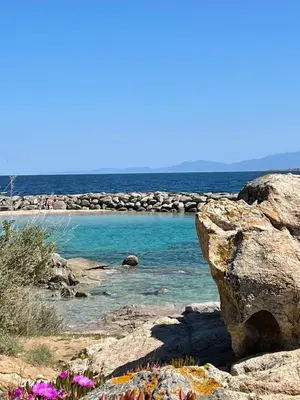 Paysage naturel près de le camping