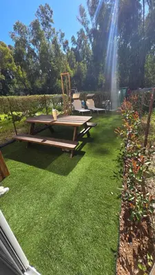 Jardin de l'établissement Studio Calvi avec jardinet à 2 min à pieds de la plage