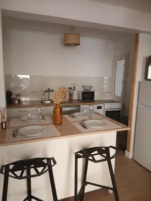 Cuisine ou kitchenette dans l'établissement Joli T2 proche centre