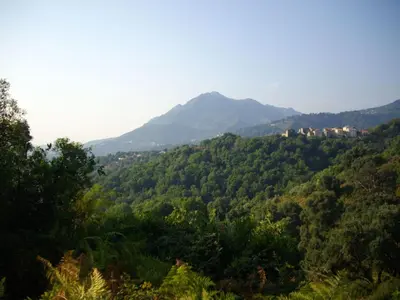 Paysage naturel près de l'appartement