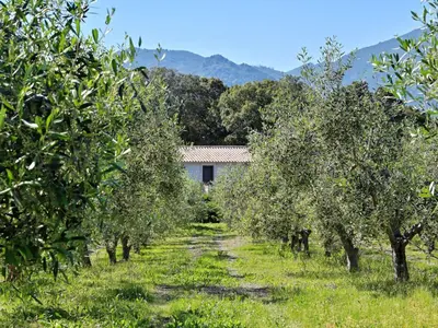 Paysage naturel près de la maison de vacances