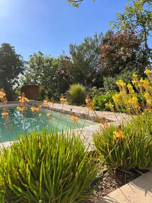 Piscine de l'établissement Casaceccu casa d'Estate ou située à proximité
