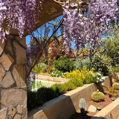 Jardin de l'établissement Casaceccu casa d'Estate