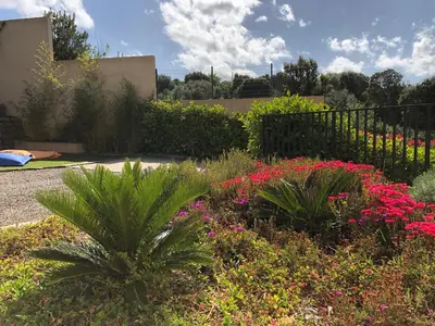 Jardin de l'établissement A Murella - maison de vacances à Oletta en Corse