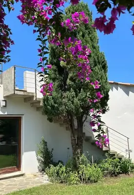 Jardin de l'établissement villa d'exception avec piscine