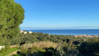 Paysage naturel près de l'appartement