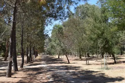Paysage naturel près de le camping