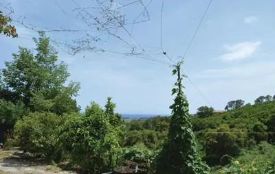 Paysage naturel près de l'appartement