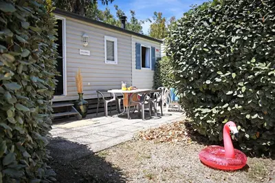 Jardin de l'établissement Camping Les Castors