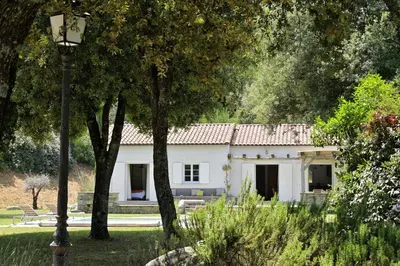 Jardin de l'établissement Domaine de Bracciole