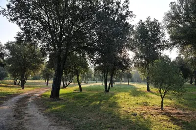 Paysage naturel près de la maison de vacances