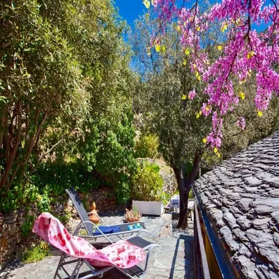 Jardin de l'établissement Les Gîtes du Cap Corse