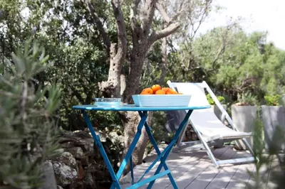 Jardin de l'établissement Résidence Le Clos Saint Paul