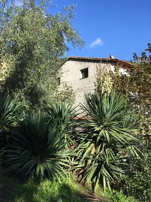 Jardin de l'établissement Petite maison proche de la nature