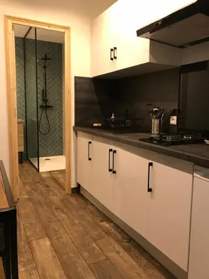 Cuisine ou kitchenette dans l'établissement Appartement chic proche de la mer