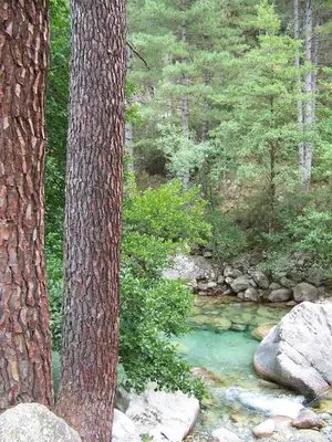 Paysage naturel près de l'appart'hôtel