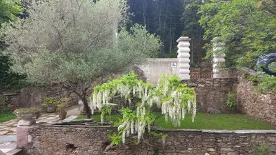 Jardin de l'établissement Casa A Rota Chambres d'Hôtes dans une maison d'Américains