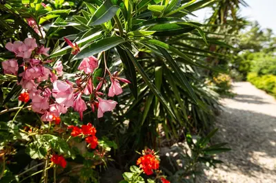 Jardin de l'établissement costa di sognu