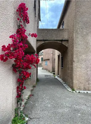Plan de l'établissement La charmante **** Maison Cap Corse, Tomino
