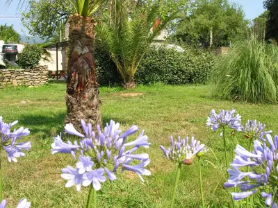 Jardin de l'établissement Villa in Moriani-Plage near Sandy Beach