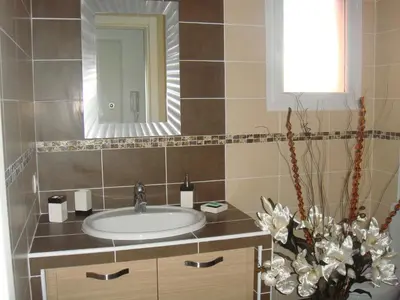 Salle de bains dans l'établissement appartement climatise Classé 2 étoiles