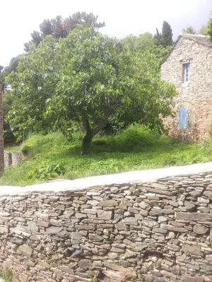 Paysage naturel près de l'appartement