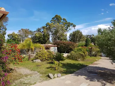 Jardin de l'établissement Chambre d'hôte Kalango proche de la plage-Piscine
