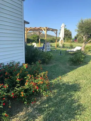 Jardin de l'établissement Mobil home climatisé, bord de mer Macinaggio
