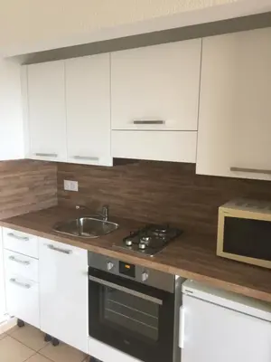 Cuisine ou kitchenette dans l'établissement Appart'Hôtel A Punta