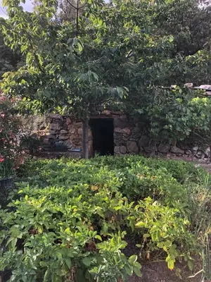 Jardin de l'établissement Villa Capraghjese