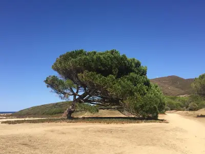 Paysage naturel près de la villa