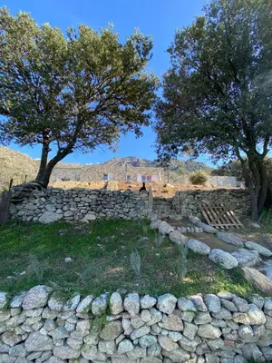 Paysage naturel près de l'appartement