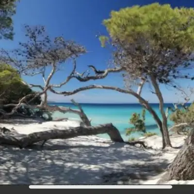Résidence calme à 2 km de Saint-Florent
