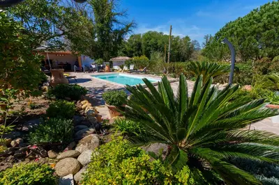 Piscine de l'établissement Villa Roma ou située à proximité