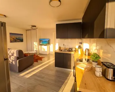Cuisine ou kitchenette dans l'établissement Studio Les Allées