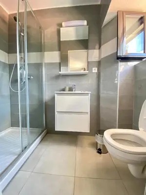 Salle de bains dans l'établissement STUDIO TERRASSE VUE MER Clim Wifi Parking
