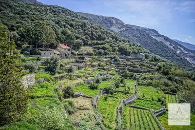 Paysage naturel près de l'hôtel