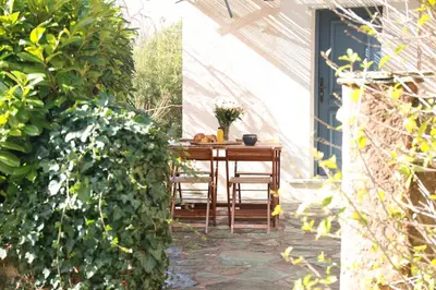 Jardin de l'établissement Les Terrasses du Maquis