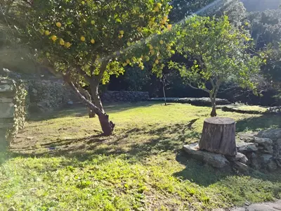 Jardin de l'établissement Les Terrasses du Maquis