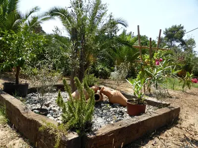 Jardin de l'établissement Relais de Bravone