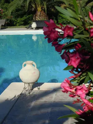 Piscine de l'établissement Relais de Bravone ou située à proximité