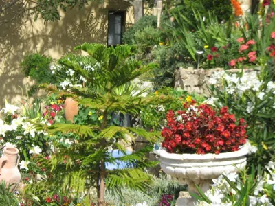 Jardin de l'établissement Hôtel Aïtone