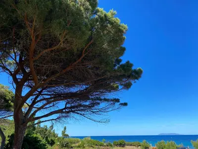 Paysage naturel près de l'appartement