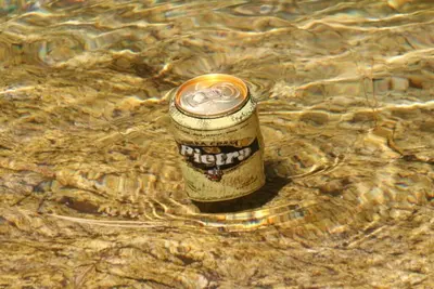 Paysage naturel près de l'appartement