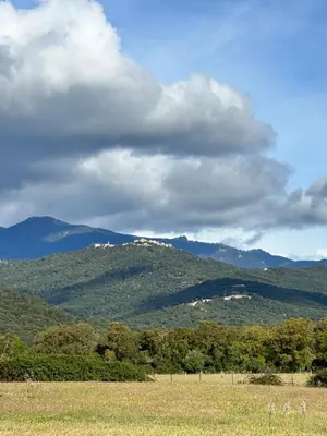 Paysage naturel près de la ferme