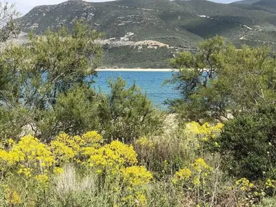 Paysage naturel près de la maison de vacances